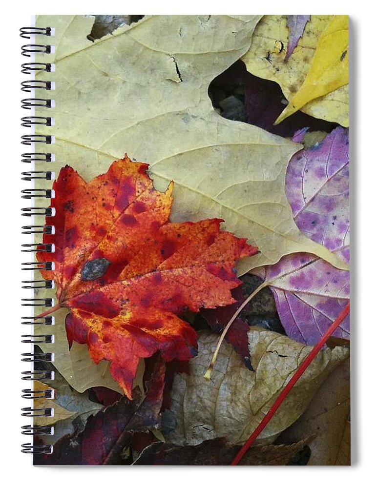 Autumn Spiral Notebook featuring the photograph Fall Leaves by Steve Ondrus