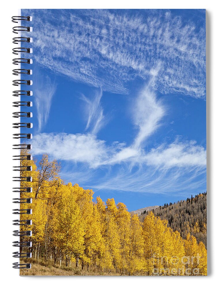00559145 Spiral Notebook featuring the photograph Quaking Aspens in Fall by Yva Momatiuk John Eastcott