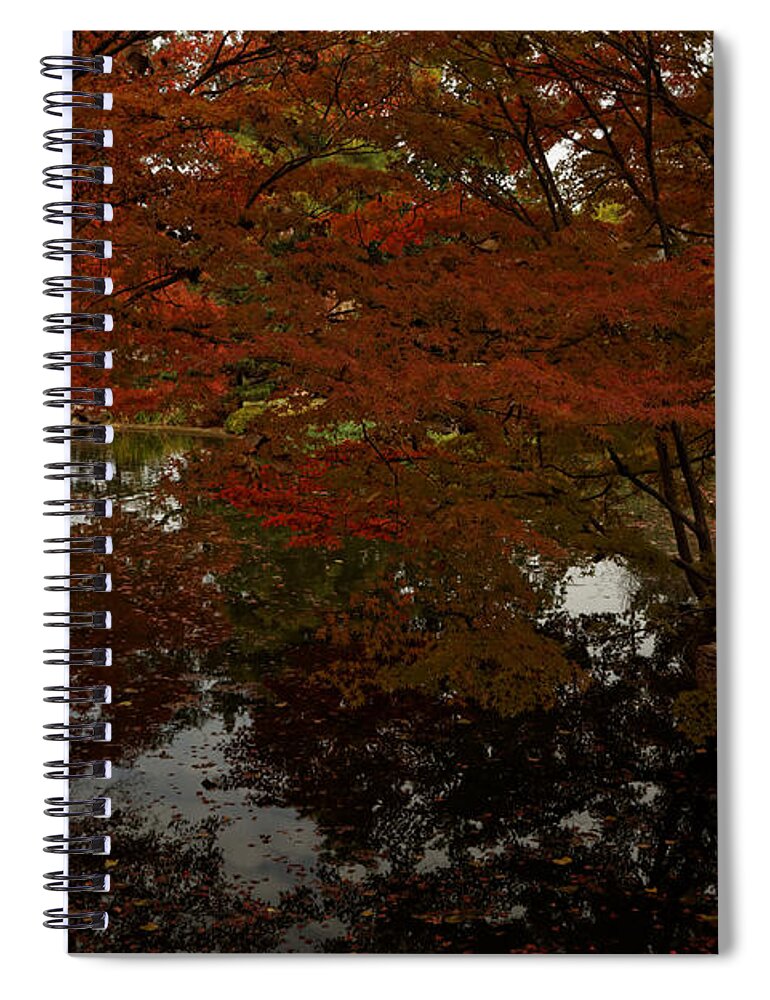Autumn Spiral Notebook featuring the photograph Fall reflections by Jonathan Davison