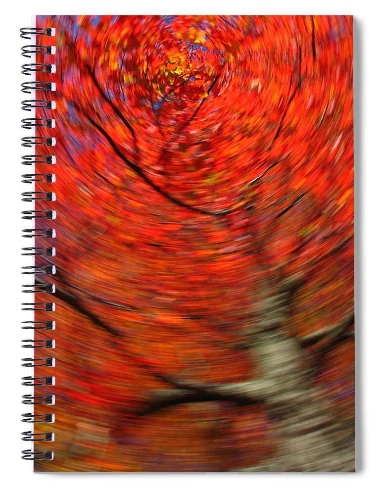 Intentional Camera Movement Spiral Notebook featuring the photograph Fall Tree Carousel by Juergen Roth