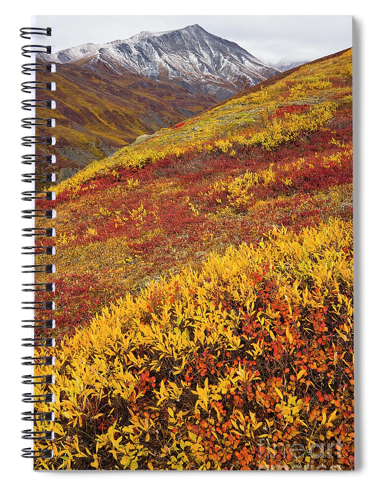 00345445 Spiral Notebook featuring the photograph Fall Tundra And First Snow by Yva Momatiuk John Eastcott