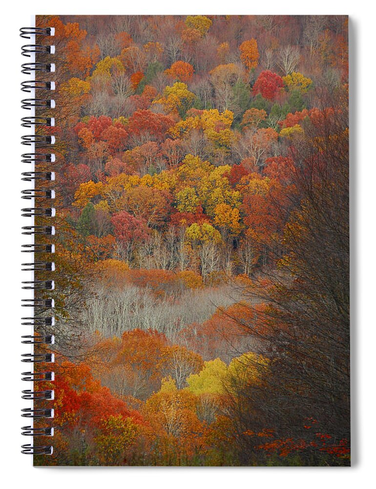 Fall Spiral Notebook featuring the photograph Fall Tunnel by Raymond Salani III