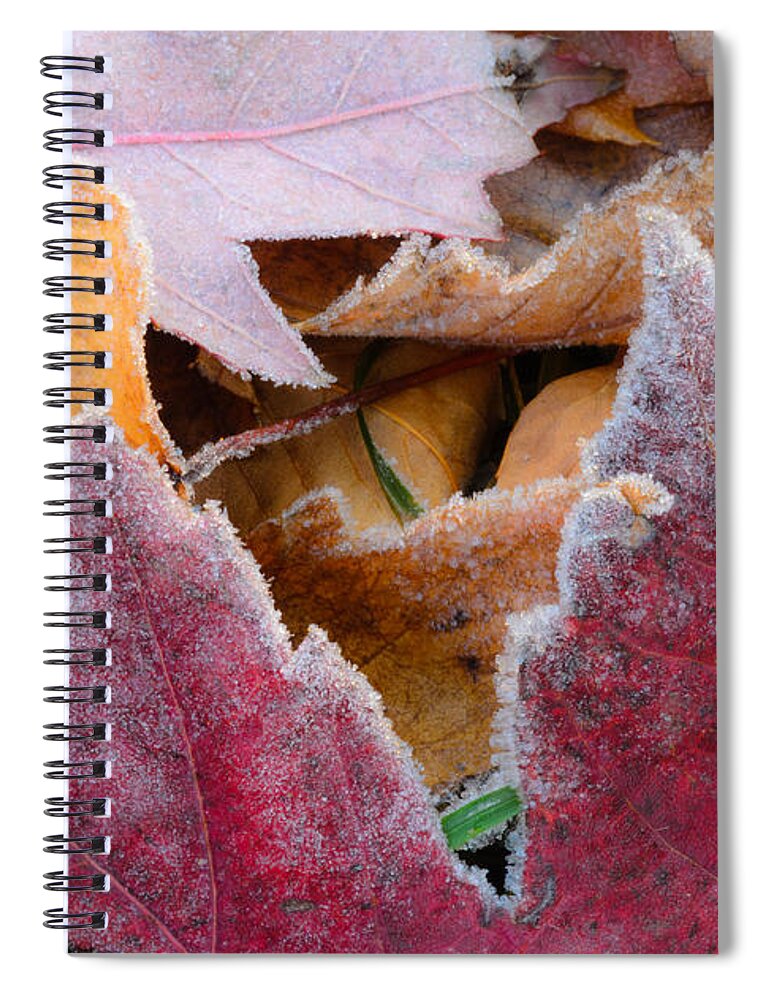 Macro Spiral Notebook featuring the photograph Fallen by Tamara Becker