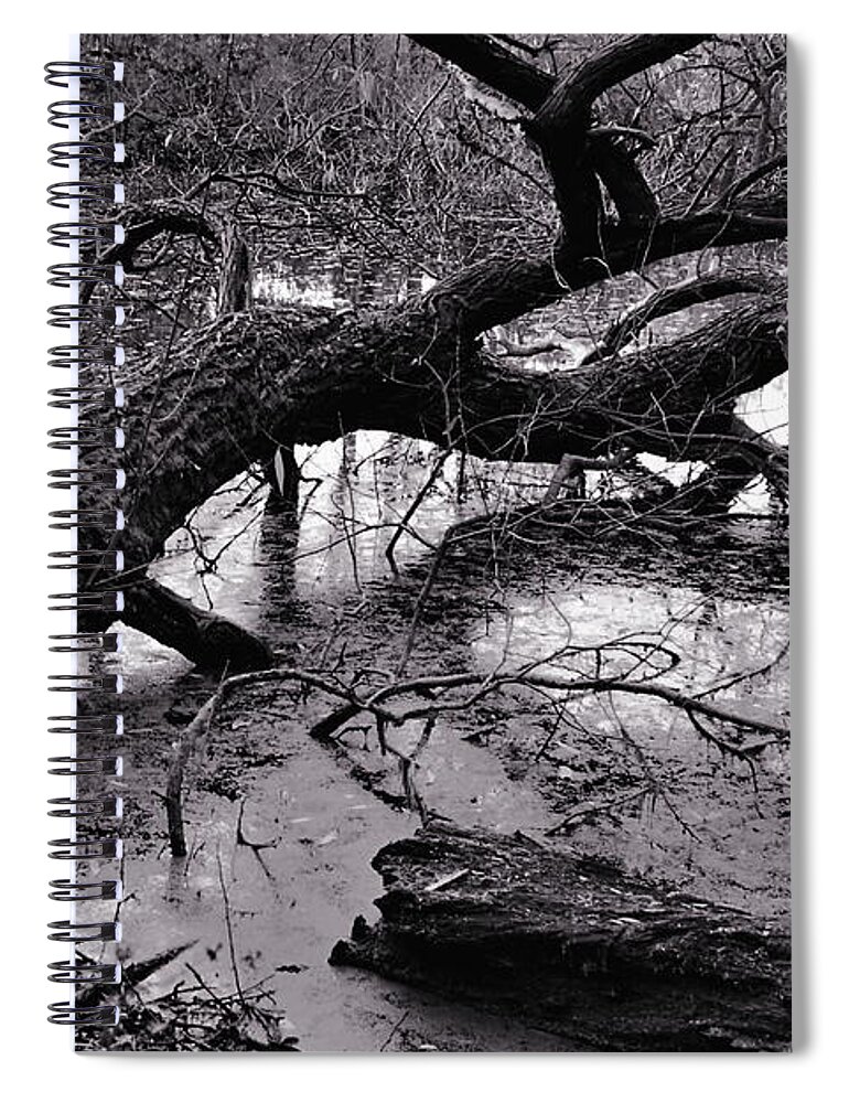 Plant Spiral Notebook featuring the photograph Fallen Tree by Dariusz Gudowicz