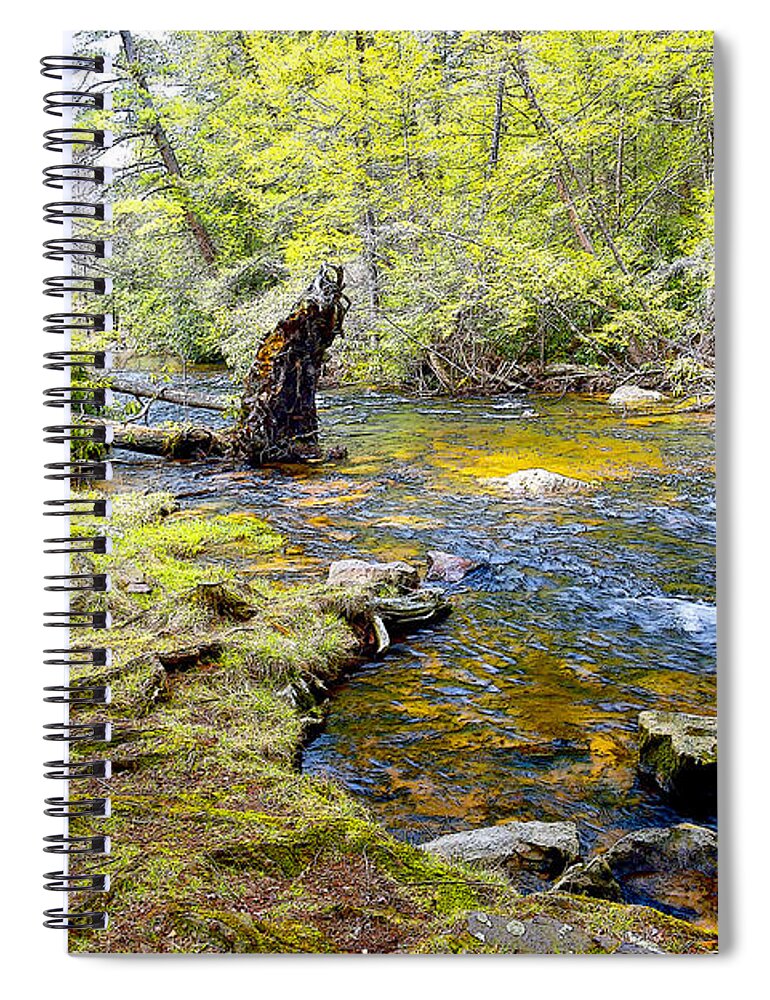 Fallen Tree Spiral Notebook featuring the photograph Fallen Tree in Stream Pocono Mountains by A Macarthur Gurmankin