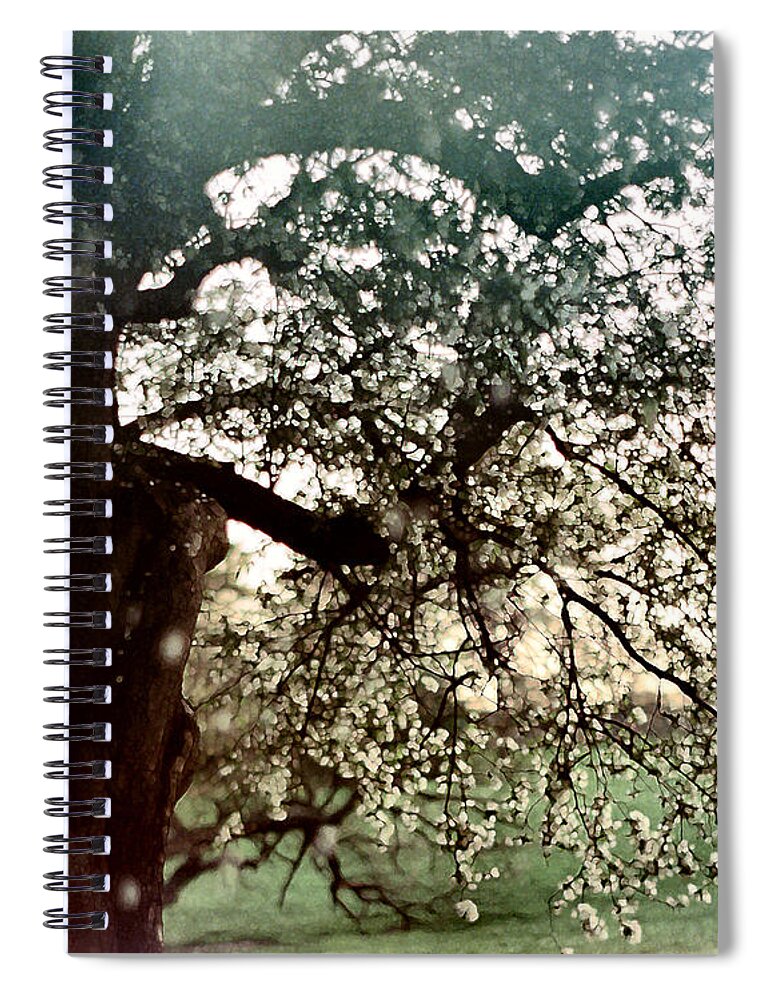 Minolta Camera Spiral Notebook featuring the photograph Falling Blossoms by Stephanie Hollingsworth