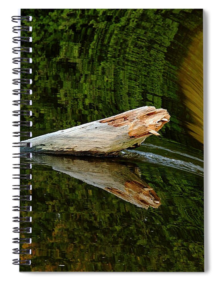 Abstract Spiral Notebook featuring the photograph Falling Tree Reflections by Debbie Oppermann