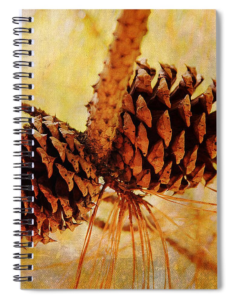 Pinecones Spiral Notebook featuring the photograph Fall's Golden Light by Trina Ansel