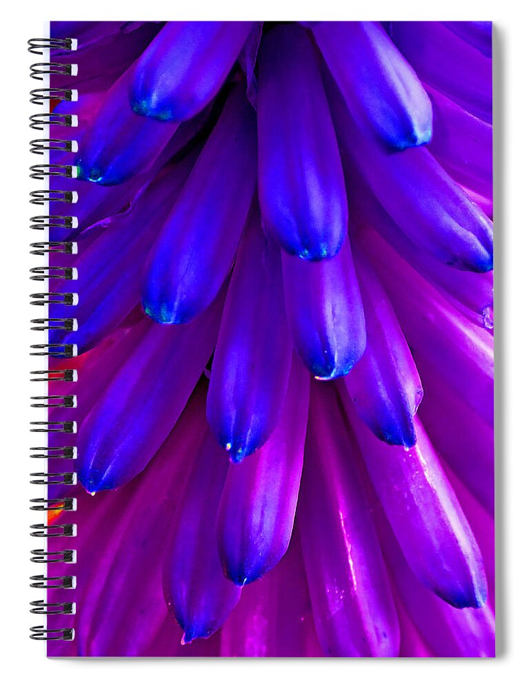 Duane Mccullough Spiral Notebook featuring the photograph Fantasy Flower 5 by Duane McCullough