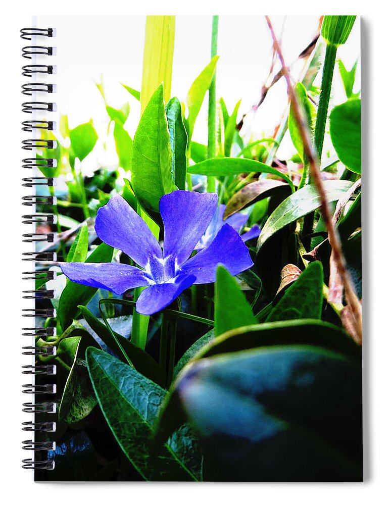Purple Flower Spiral Notebook featuring the photograph Fantasy Garden by Shawna Rowe