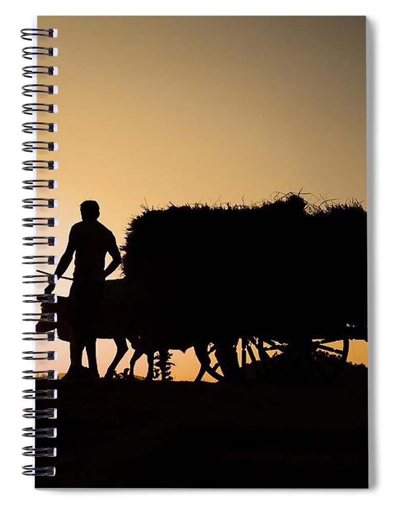 Working Animal Spiral Notebook featuring the photograph Farmer With His Harvest At Sunset by Pallab Seth