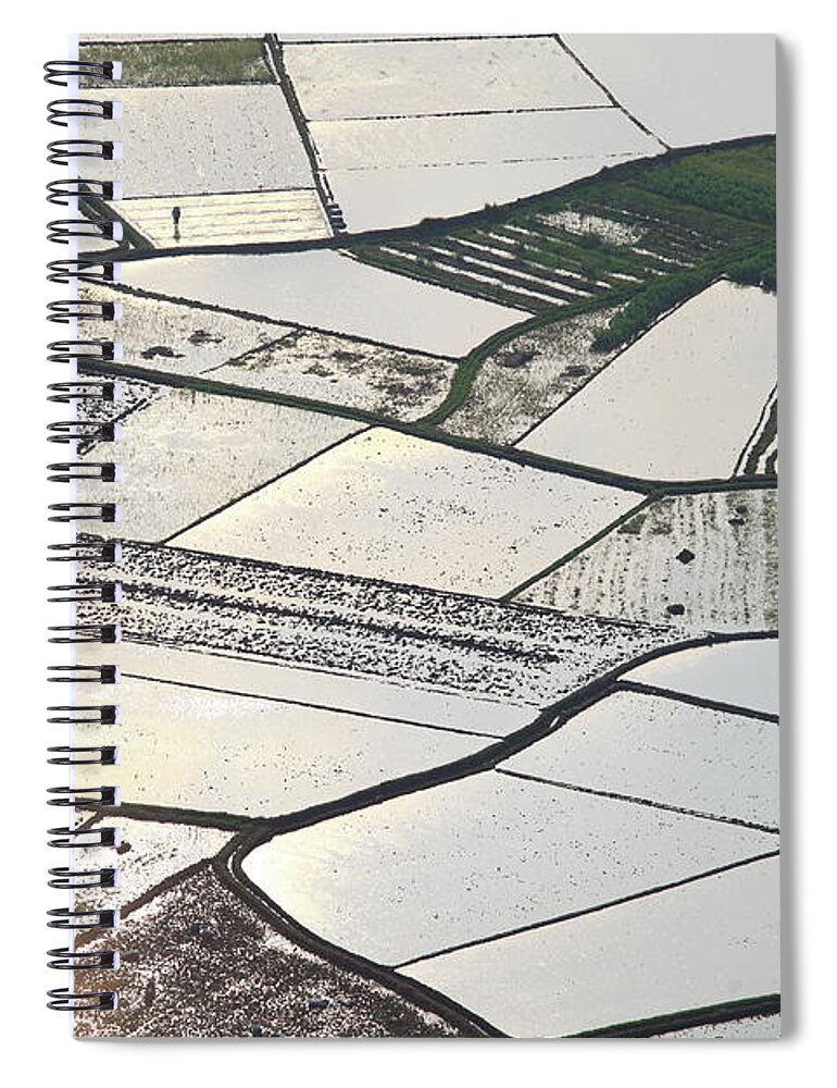 Working Spiral Notebook featuring the photograph Farmers Plough Paddy Field by Bihaibo