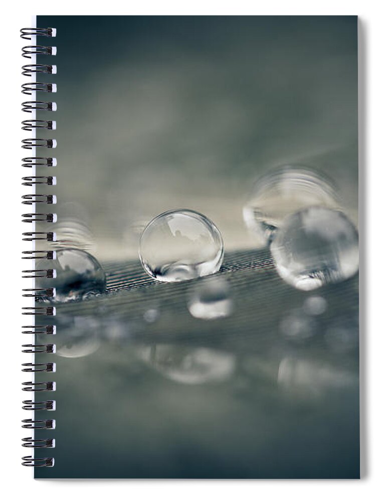 Droplet Spiral Notebook featuring the photograph Feather Doplets by Shane Holsclaw