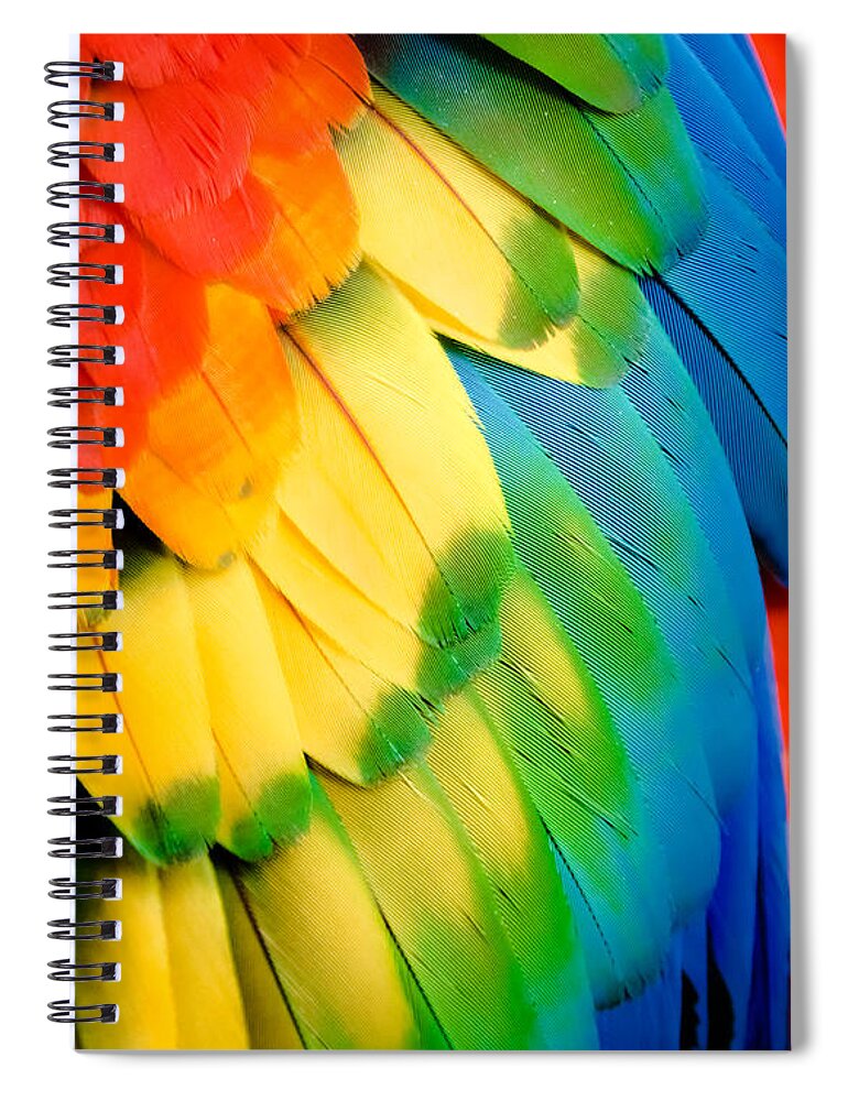 Feathers Spiral Notebook featuring the photograph Feather Rainbow by Karen Wiles
