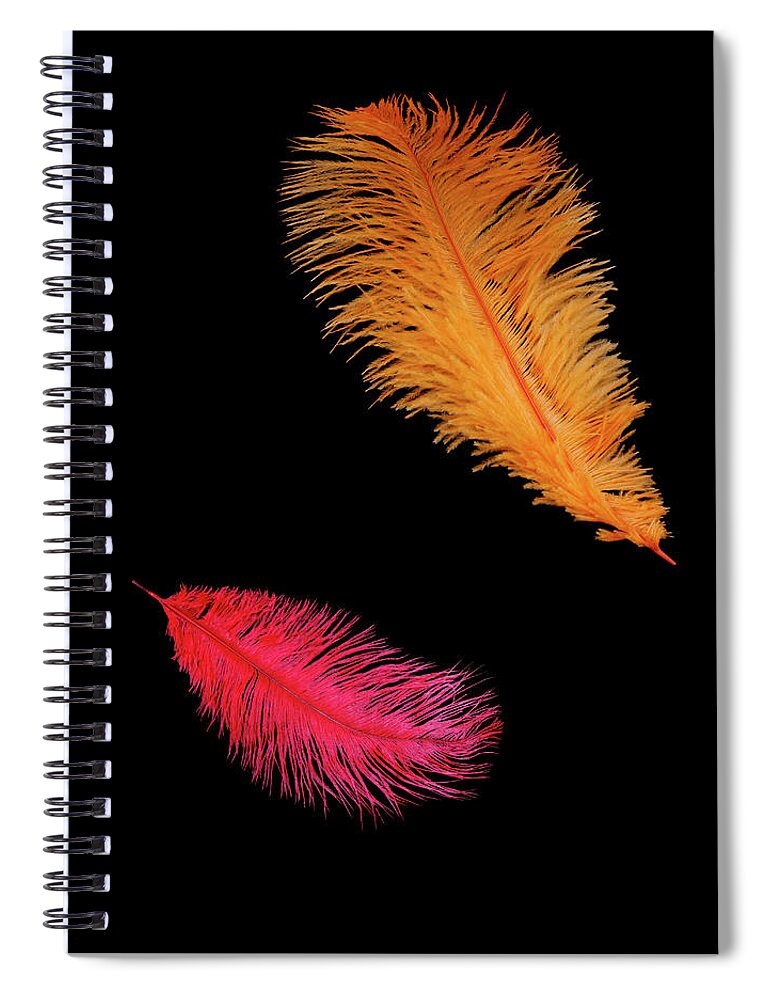 Orange Color Spiral Notebook featuring the photograph Feathers On Black by Rosemary Calvert