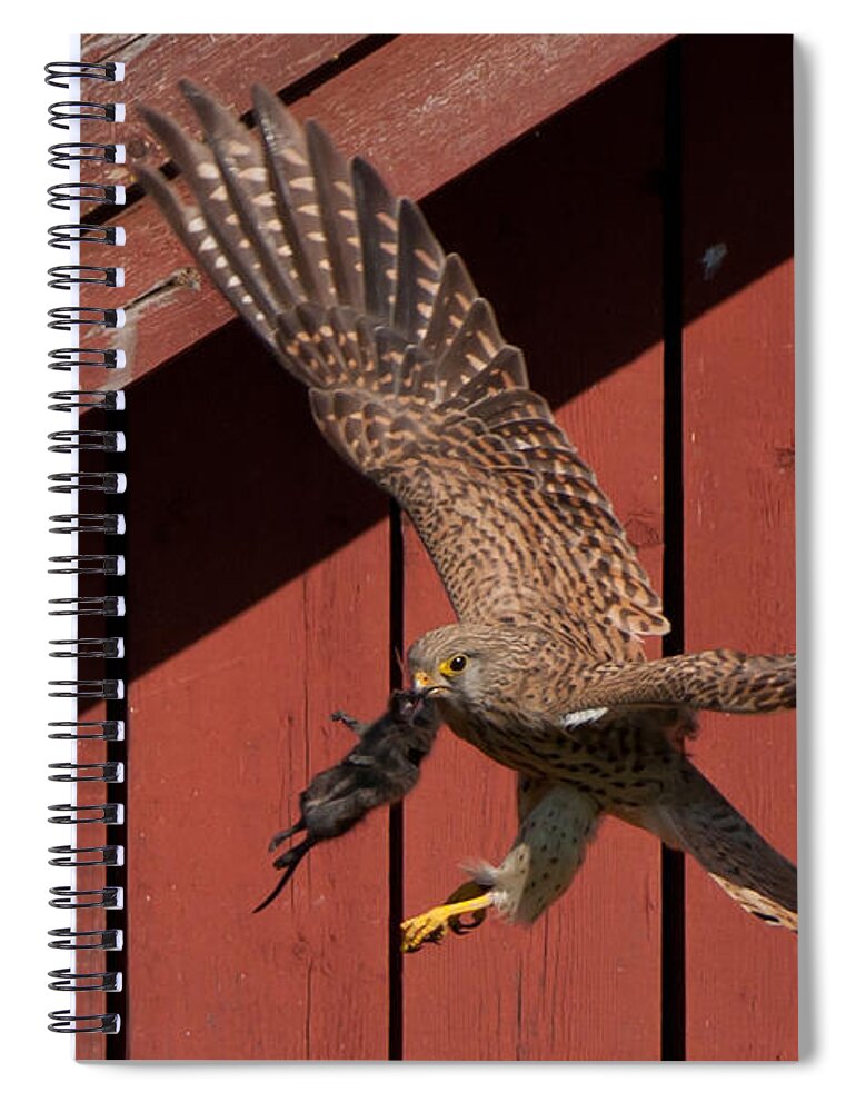 Feeding Time Spiral Notebook featuring the photograph Feeding time by Torbjorn Swenelius