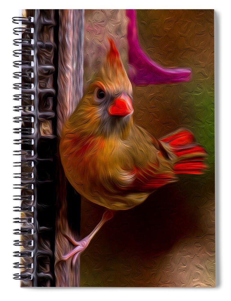 Female Northern Cardinal Spiral Notebook featuring the photograph Female Northern Cardinal by Robert L Jackson