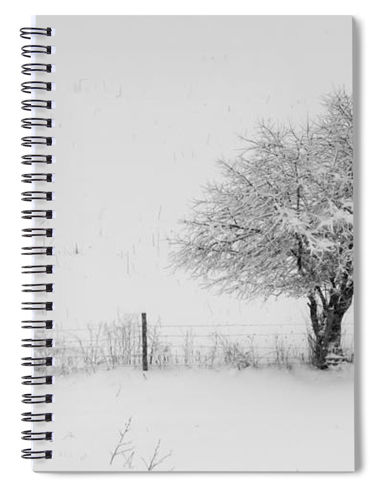 Fence Spiral Notebook featuring the photograph Fence line in the Wintertime by Holden The Moment
