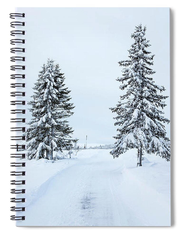 Tranquility Spiral Notebook featuring the photograph Fer Trees With Track In Snow Landscape by Betsie Van Der Meer
