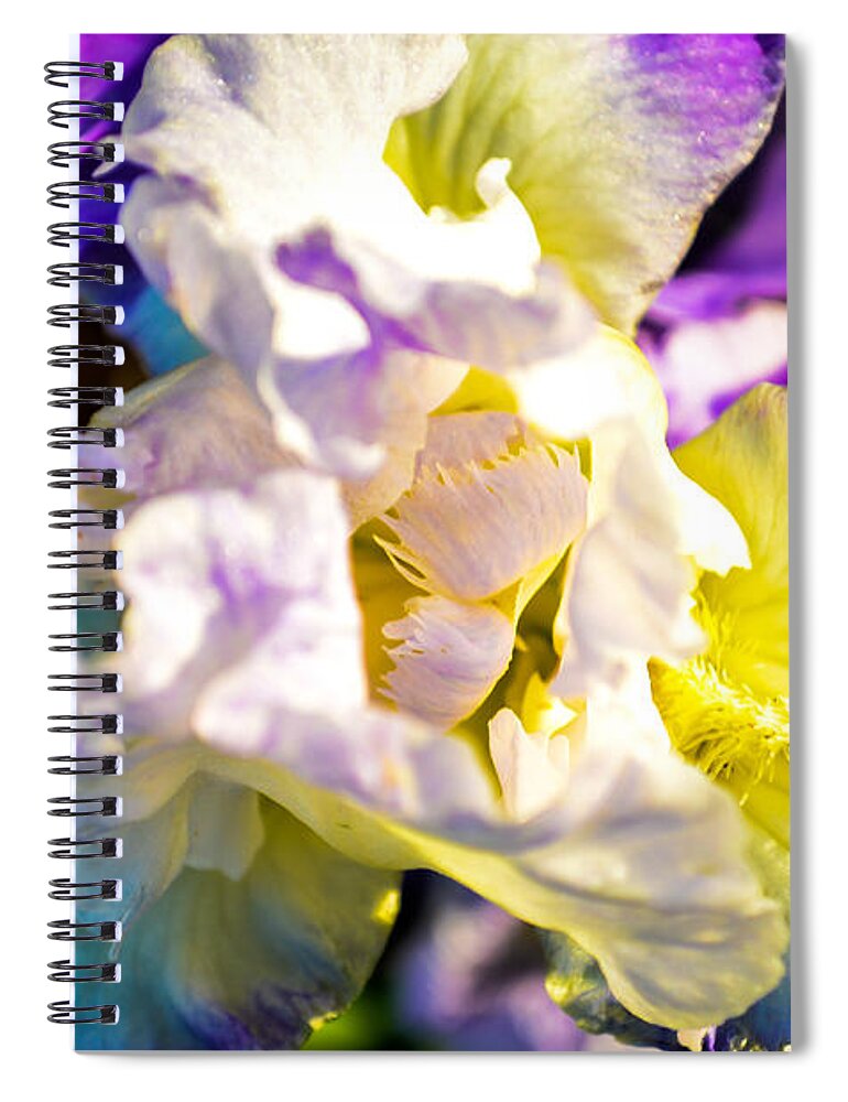Flowers Spiral Notebook featuring the photograph Fickle Iris by Mary Hahn Ward