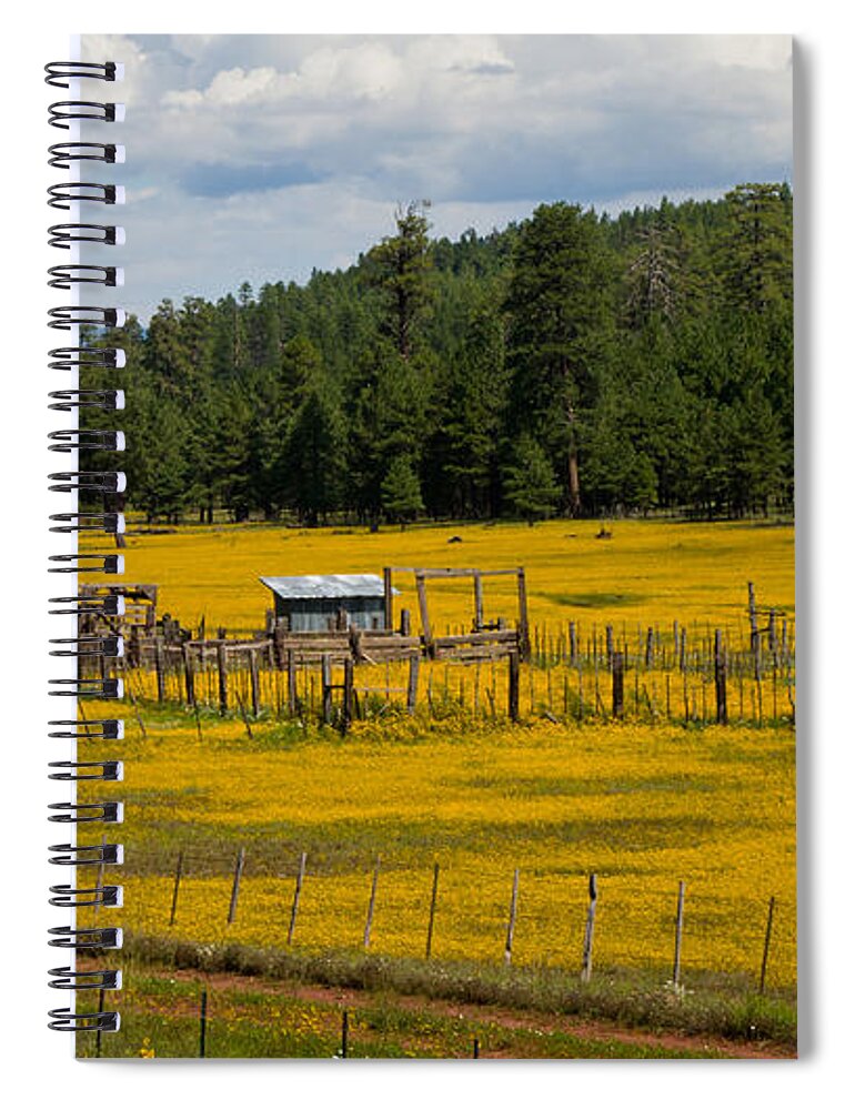 Field Spiral Notebook featuring the photograph Field of Flowers by Will Wagner