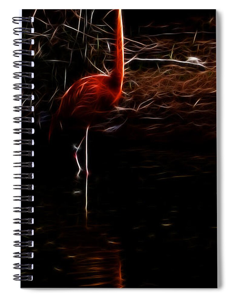 Fire Flamingo Spiral Notebook featuring the photograph Fire Flamingo by Weston Westmoreland