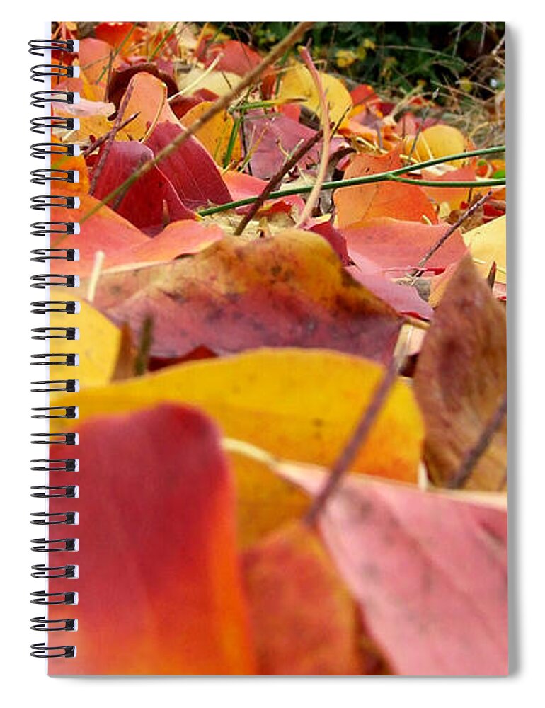 Fall Spiral Notebook featuring the photograph First day of fall by Andrea Anderegg