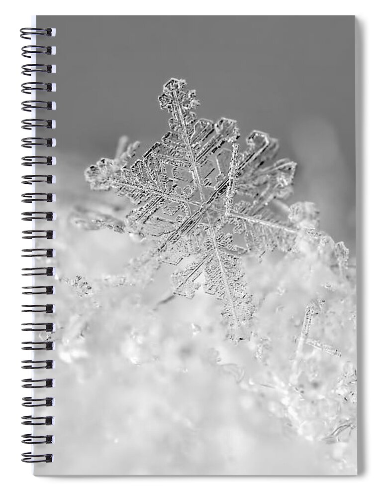 Snowflake Spiral Notebook featuring the photograph First Snowflake by Rona Black