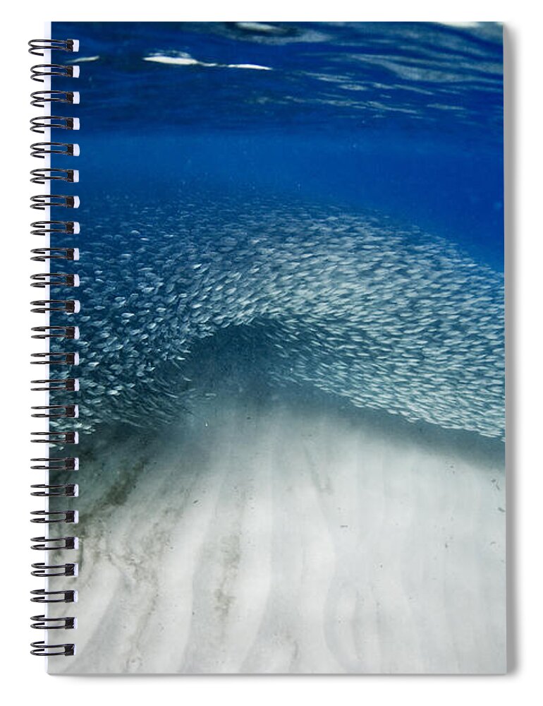 Sea Spiral Notebook featuring the photograph Fish wave. by Sean Davey