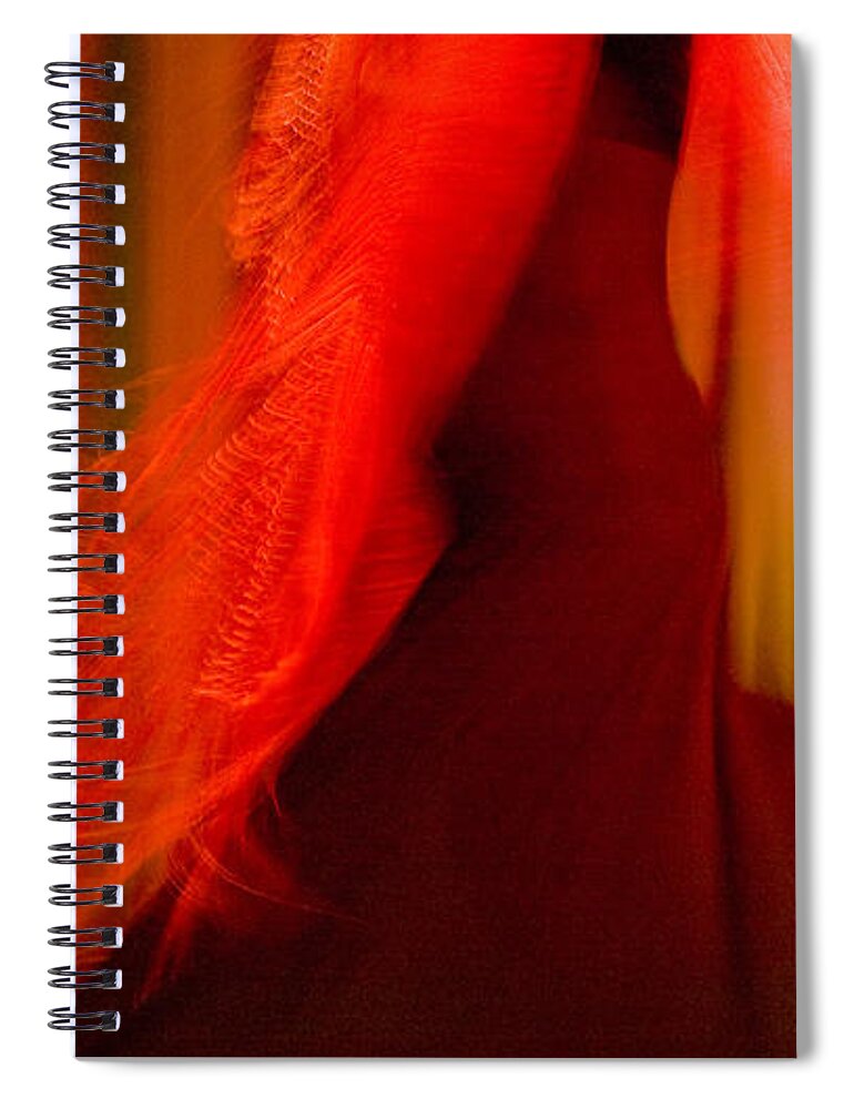 Andalusia Spiral Notebook featuring the photograph Flamenco Series 10 by Catherine Sobredo