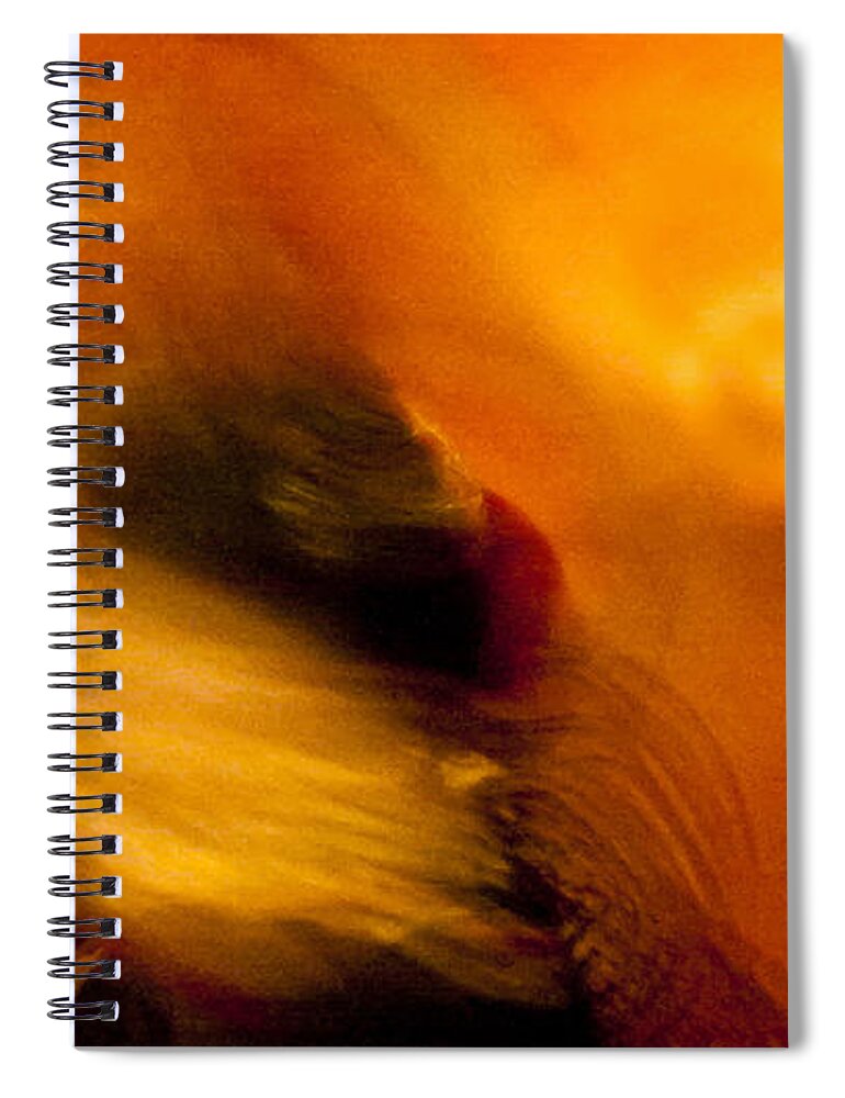 Acrilyc Prints Spiral Notebook featuring the photograph Flamenco Series 16 by Catherine Sobredo