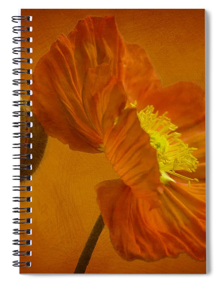 Orange Spiral Notebook featuring the photograph Flaming Beauty by Heiko Koehrer-Wagner