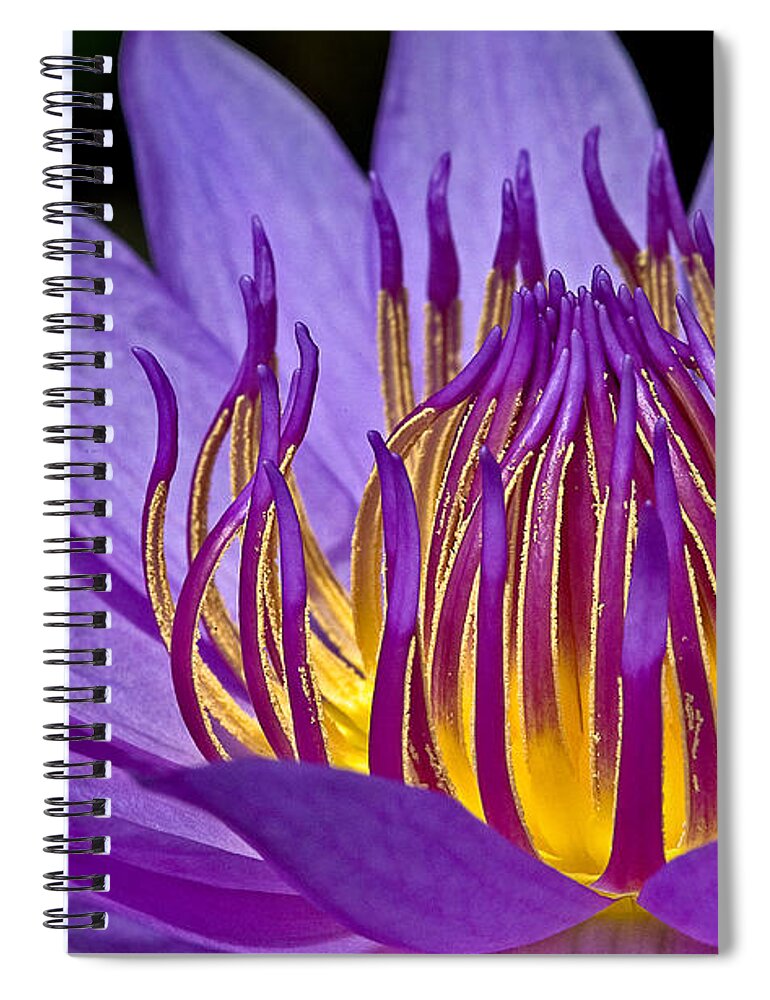 Waterlily Spiral Notebook featuring the photograph Flaming Heart by Susan Candelario