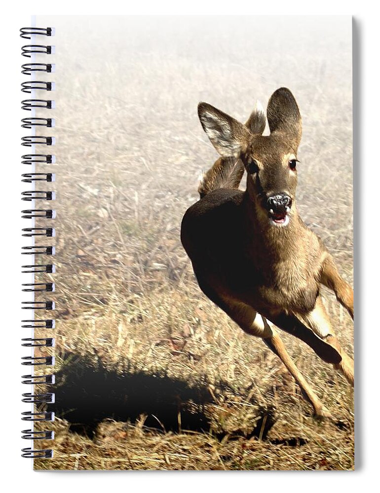 Deer Spiral Notebook featuring the photograph Flee by Bill Stephens