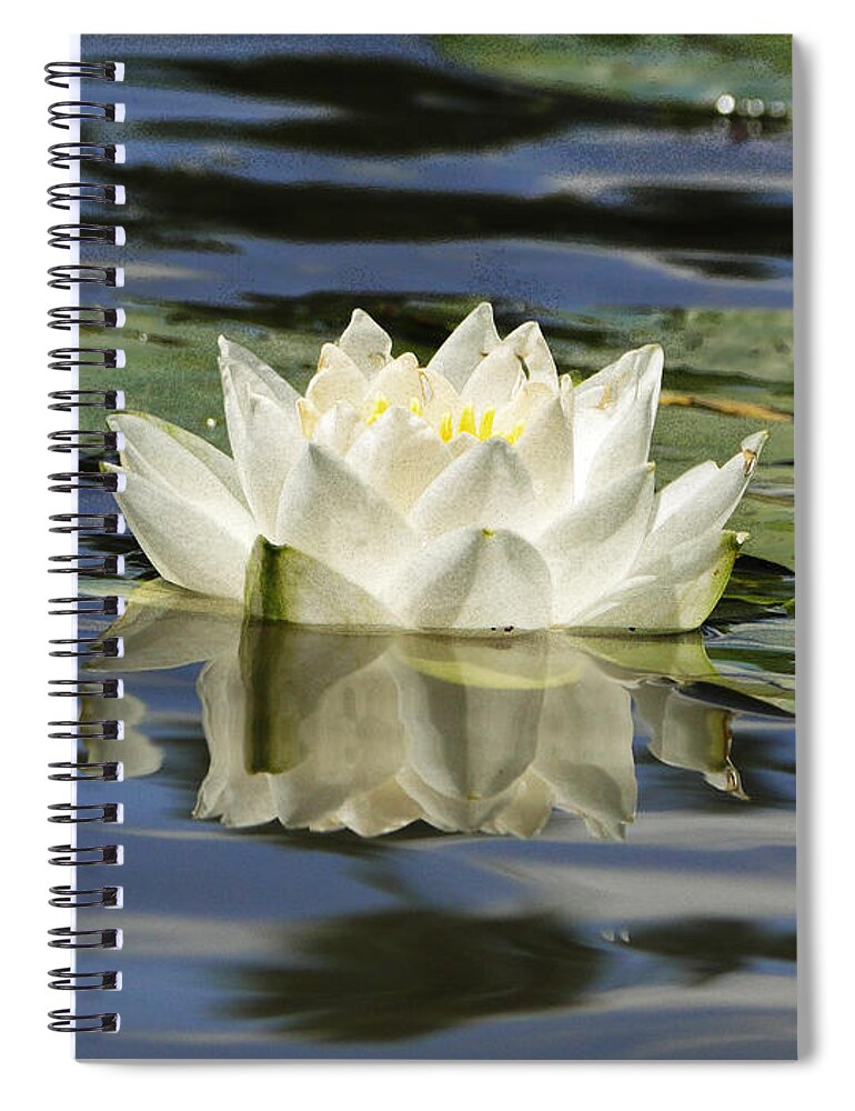 Rose Spiral Notebook featuring the photograph Floating by Ben Yassa
