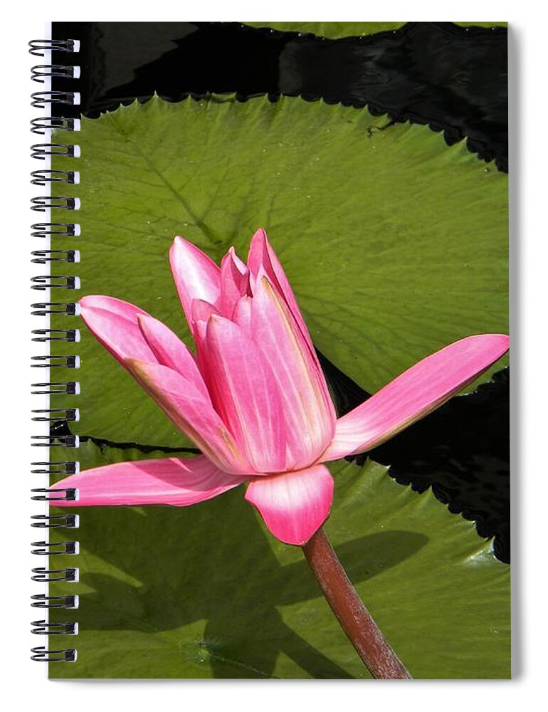Flowers Spiral Notebook featuring the photograph Floating by Jean Goodwin Brooks