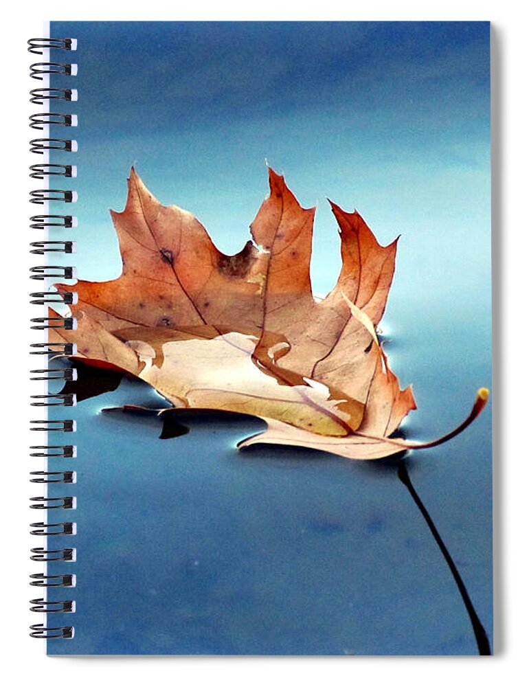 Leaf Spiral Notebook featuring the photograph Floating Oak Leaf by David T Wilkinson