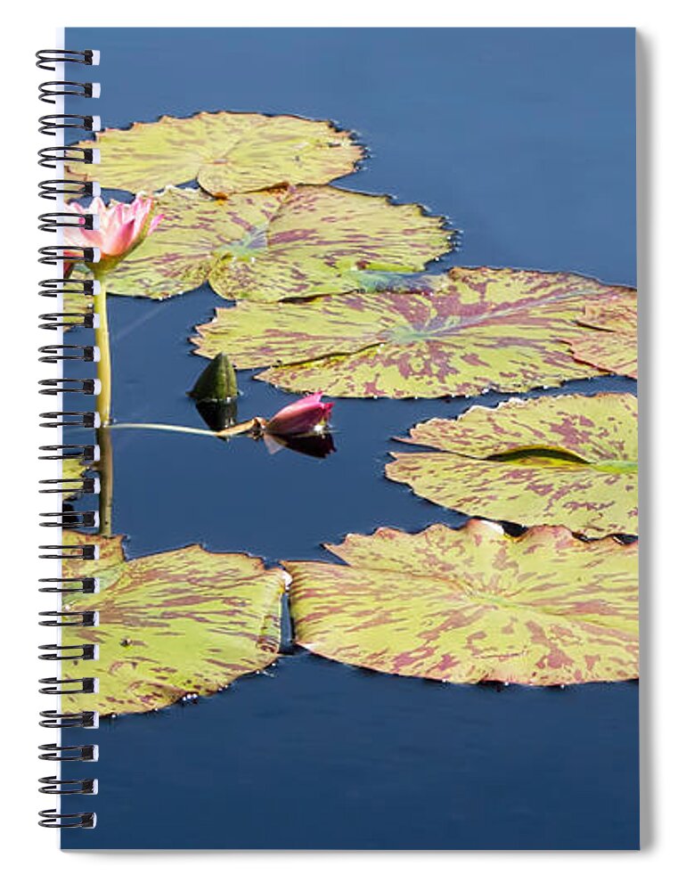 Lotus Spiral Notebook featuring the photograph Floating On The Breath by Barbara McMahon