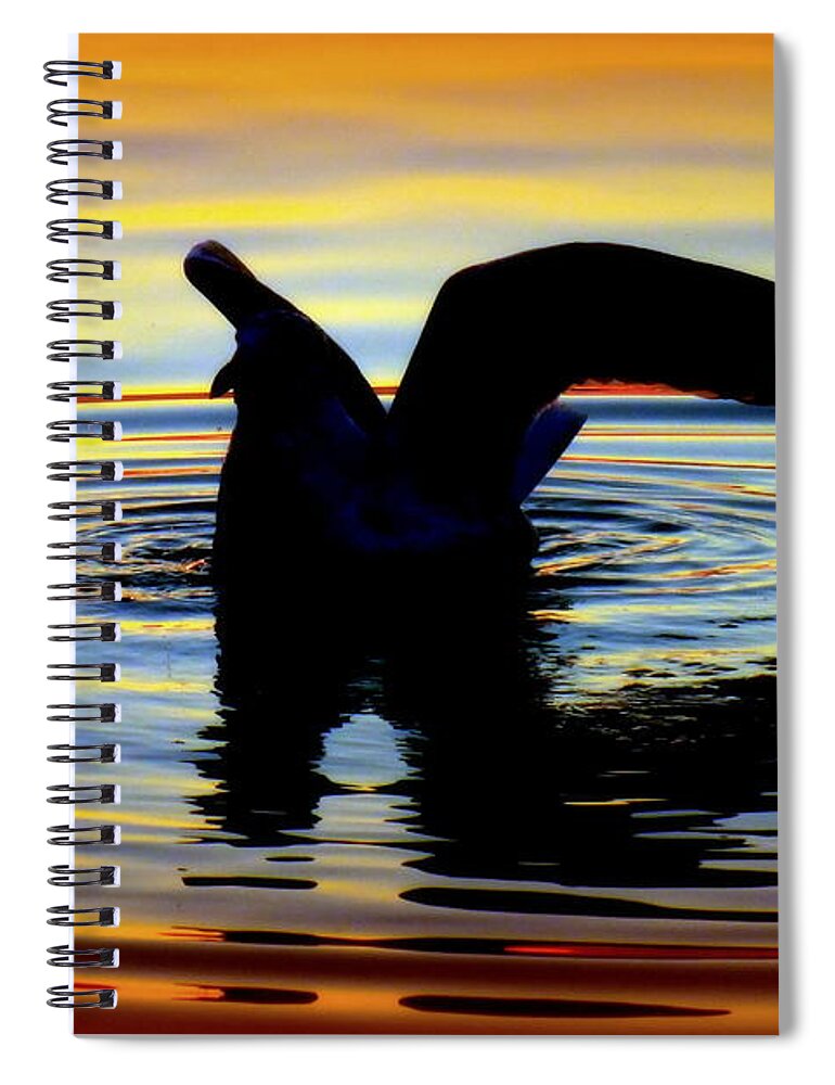 Water Reflections Spiral Notebook featuring the photograph Floating Wings by Karen Wiles