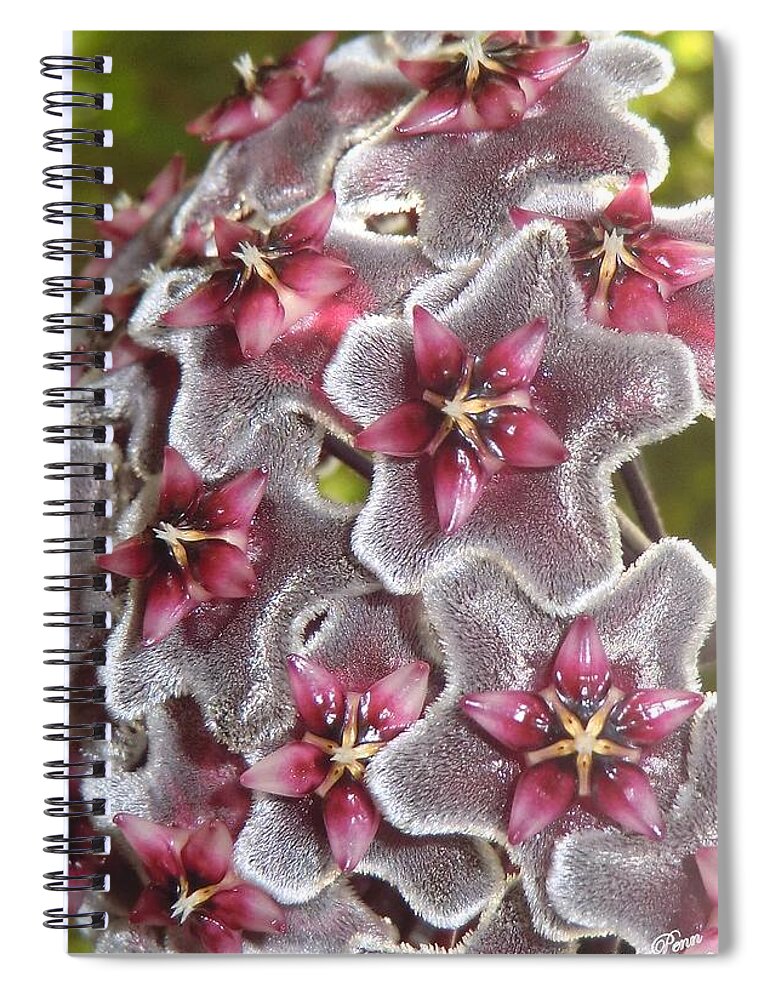 Flower Photograph Spiral Notebook featuring the photograph Floral Presence - signed by Michele Penn