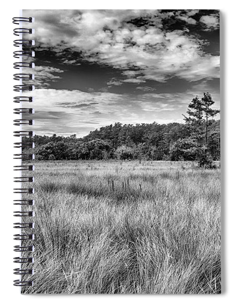Florida Spiral Notebook featuring the photograph Florida SawGrass Prairie  by George Buxbaum
