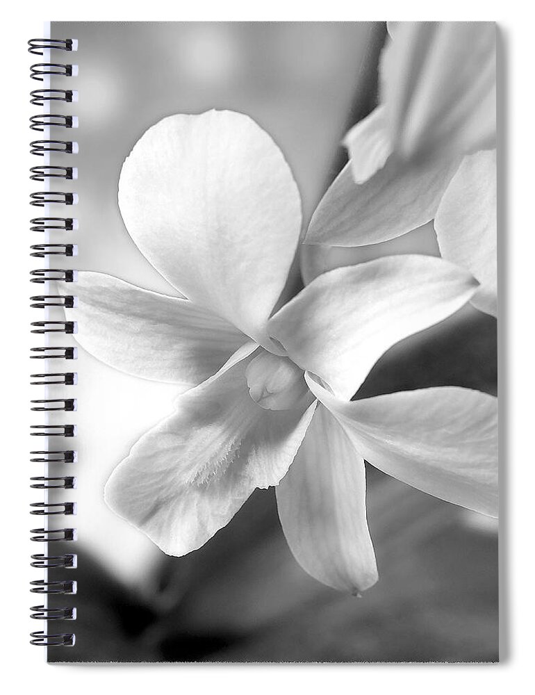 White Orchid Spiral Notebook featuring the photograph White Orchid by Mike McGlothlen