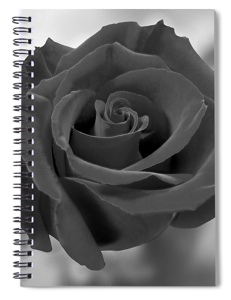 Rose Spiral Notebook featuring the photograph Dark Rose by Mike McGlothlen