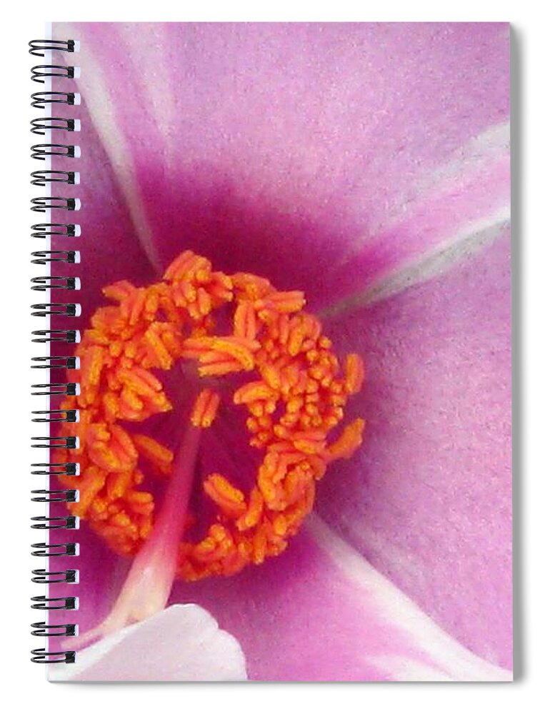 Flower Spiral Notebook featuring the photograph Flower Garden 12 by Pamela Critchlow