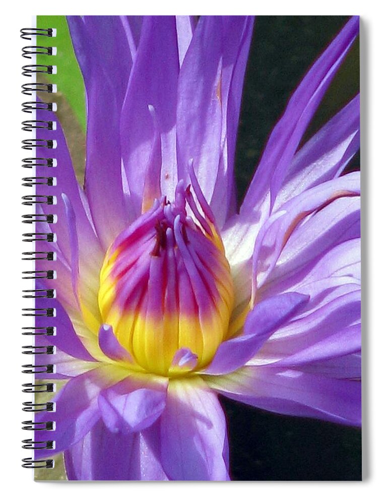 Flower Spiral Notebook featuring the photograph Flower Garden 70 by Pamela Critchlow