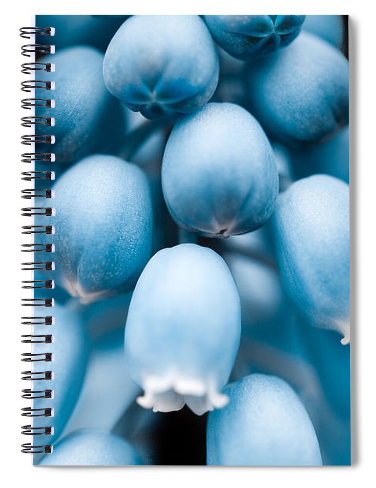 Blue Bells Spiral Notebook featuring the photograph Flower Pods by Shane Holsclaw