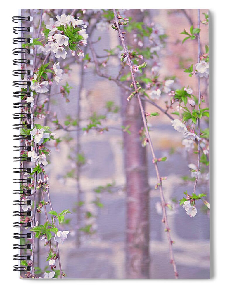 Stone Wall Spiral Notebook featuring the photograph Flowering Cherry Blossom by Sharon Lapkin
