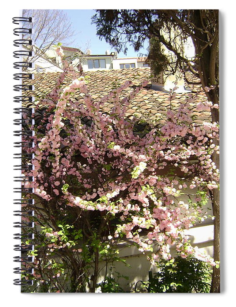 Flowers Spiral Notebook featuring the photograph Flowering Tree by Moshe Harboun
