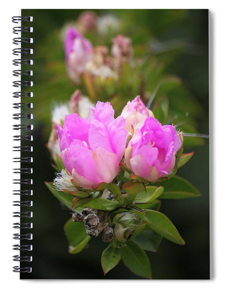 Flowers Spiral Notebook featuring the photograph Flowers For You by Amy Gallagher