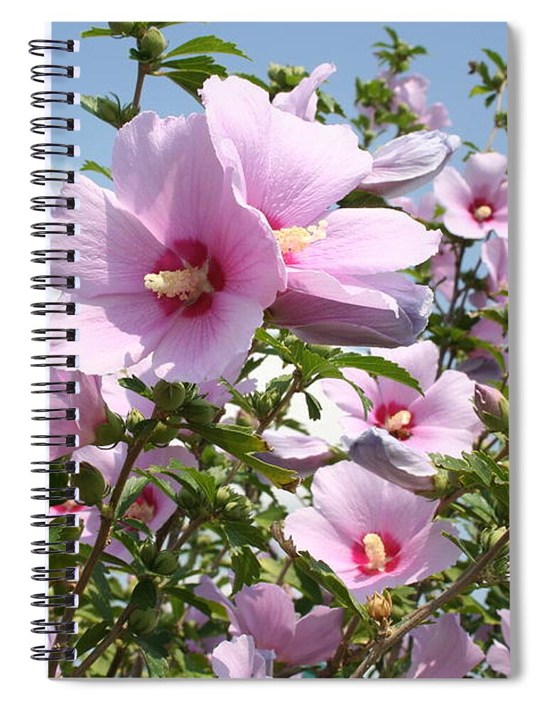 Flowers Spiral Notebook featuring the photograph Flowers in the Park by Jimmie Bartlett